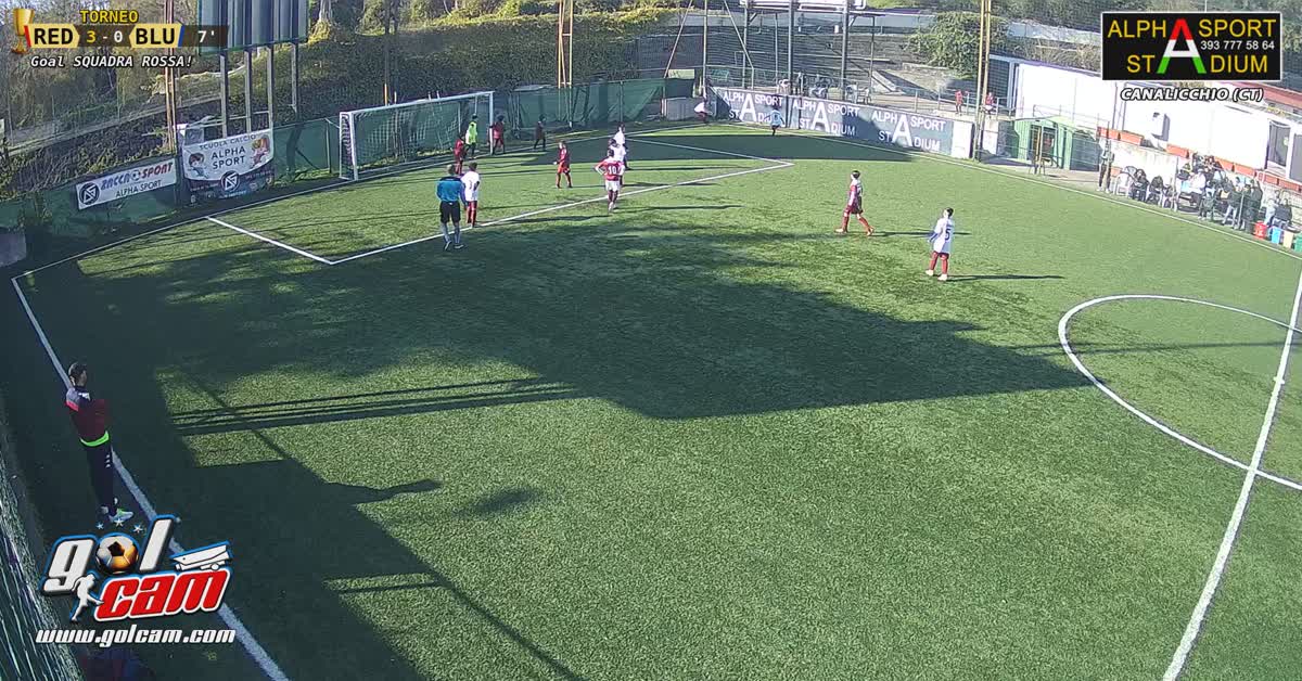 Walsh goal