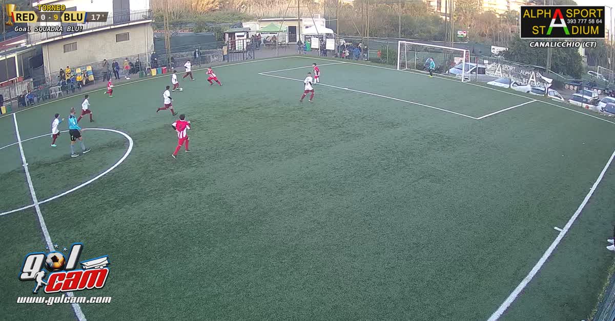 Goal walsh