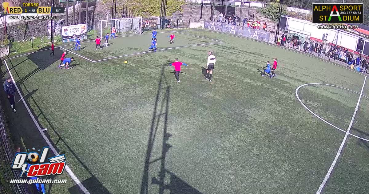 Leo papera portiere