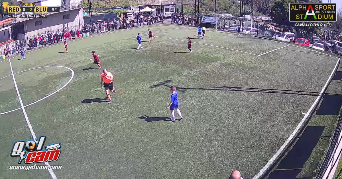 Dany gol 
