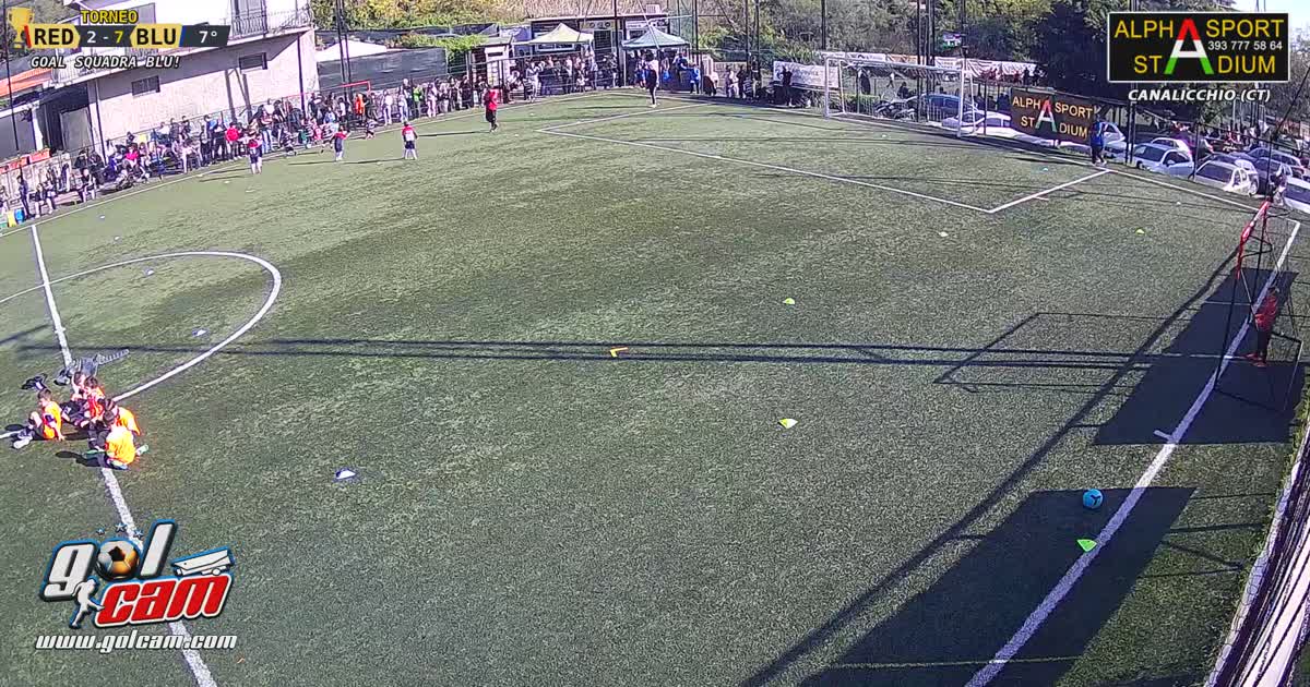 Gol Vincenzo