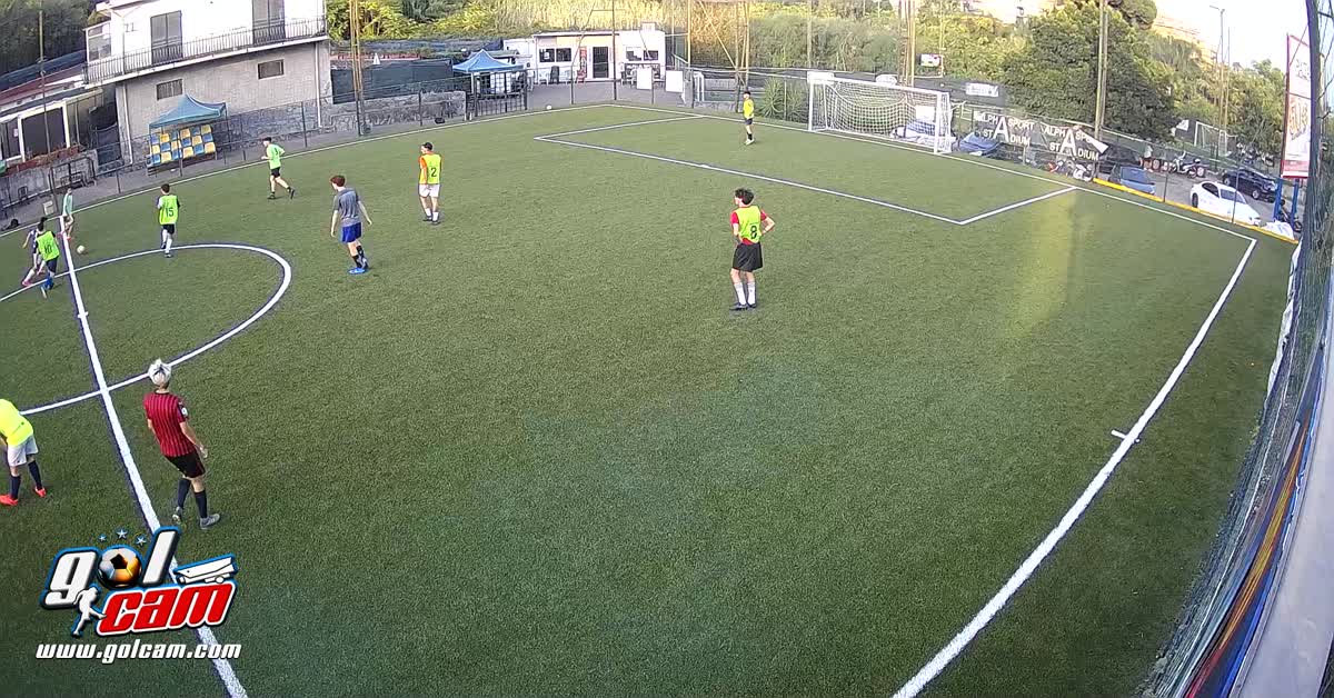 palo-gol