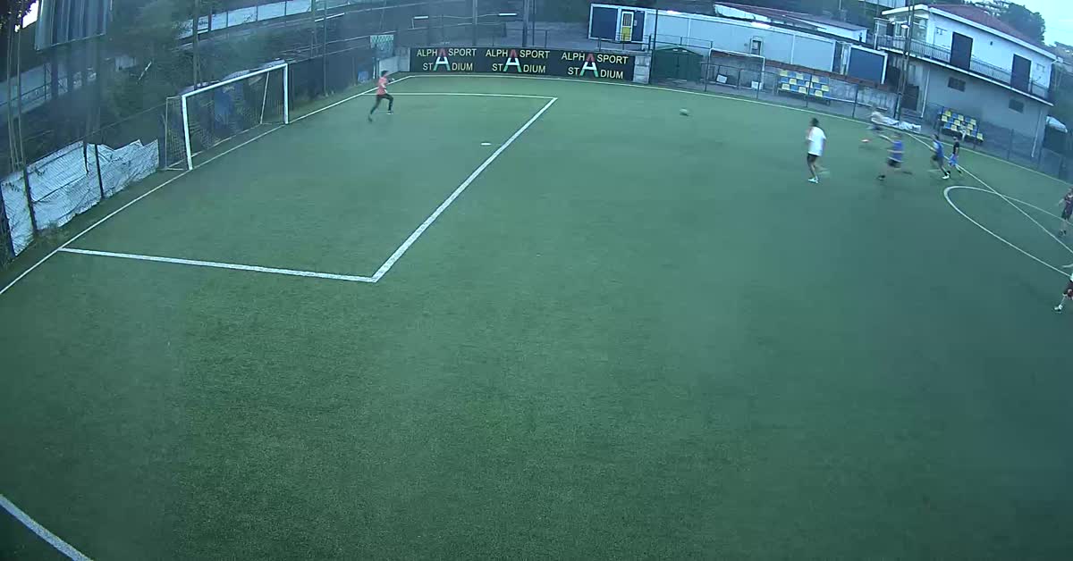 Goal alesii