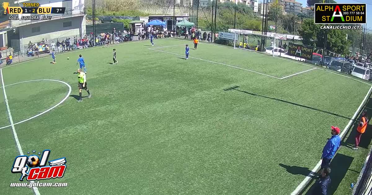 Tiro al volo 2-1