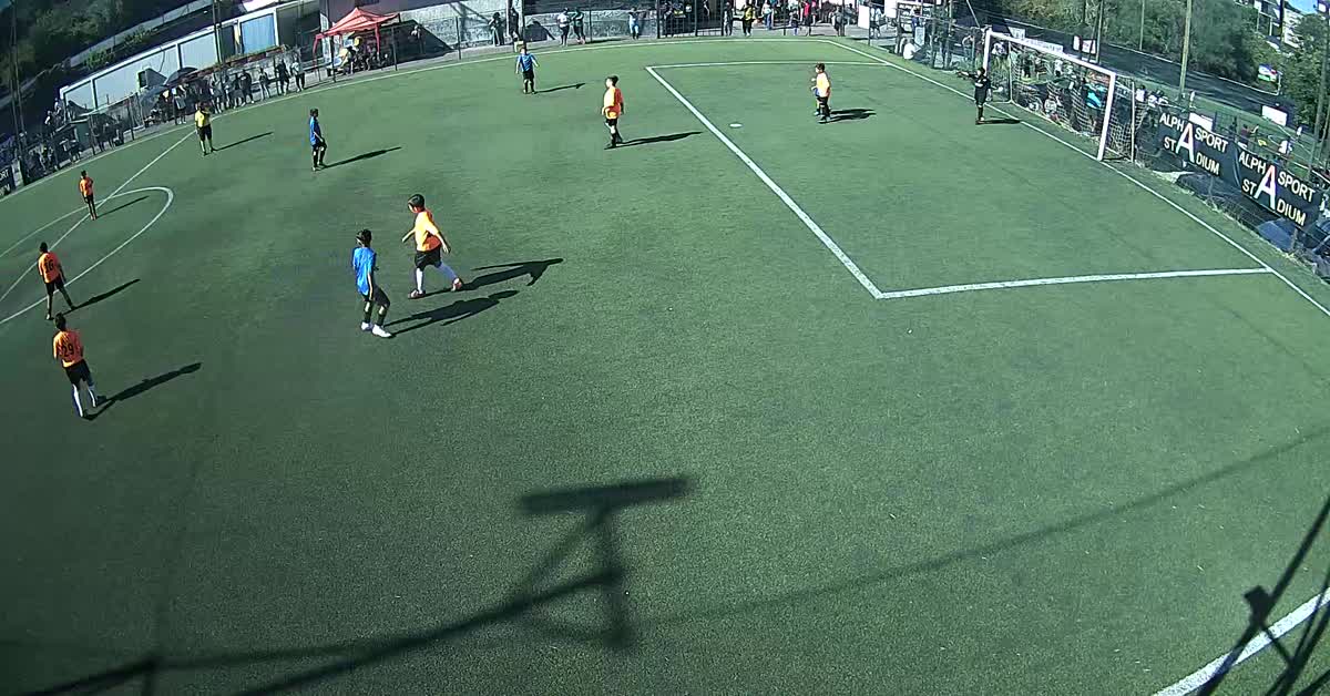 Gol fede