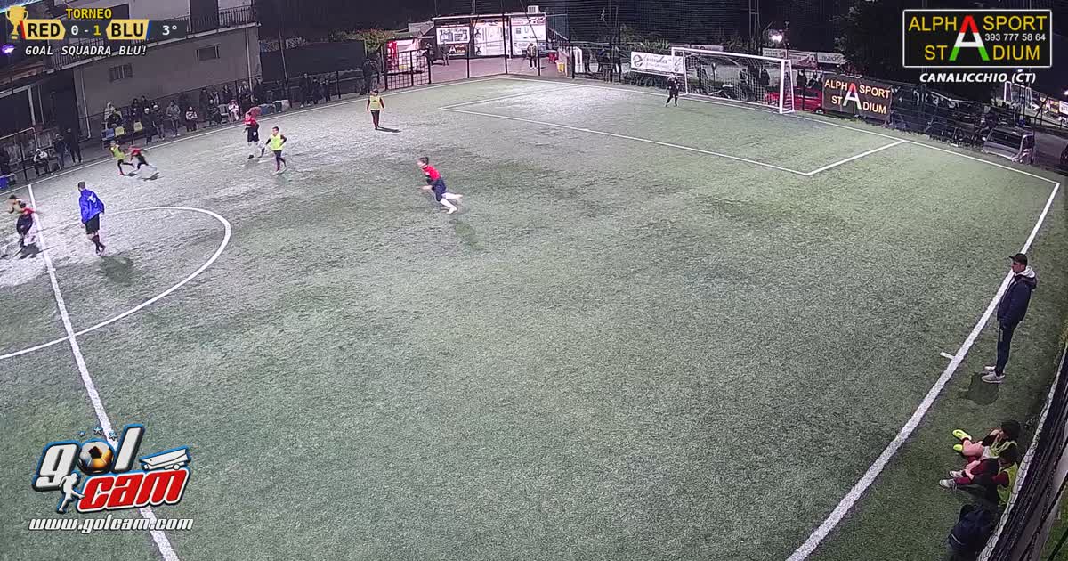 Goal 1 Alek
