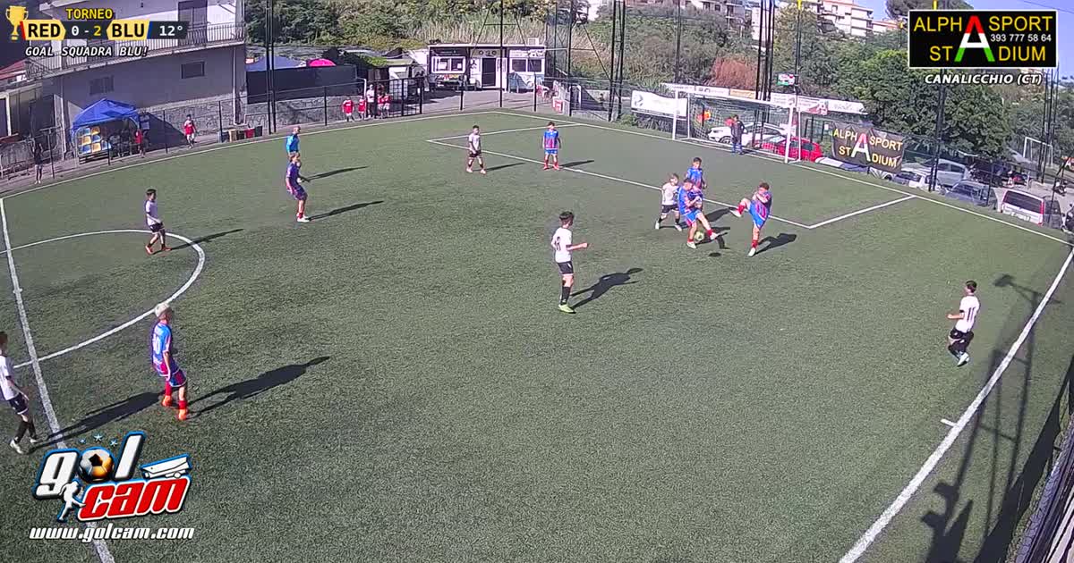 Salvo cuffari
