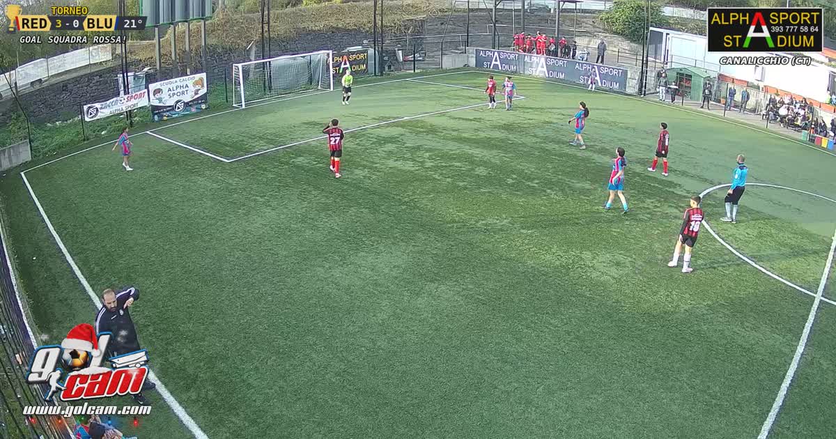 Golazo pecorinho 