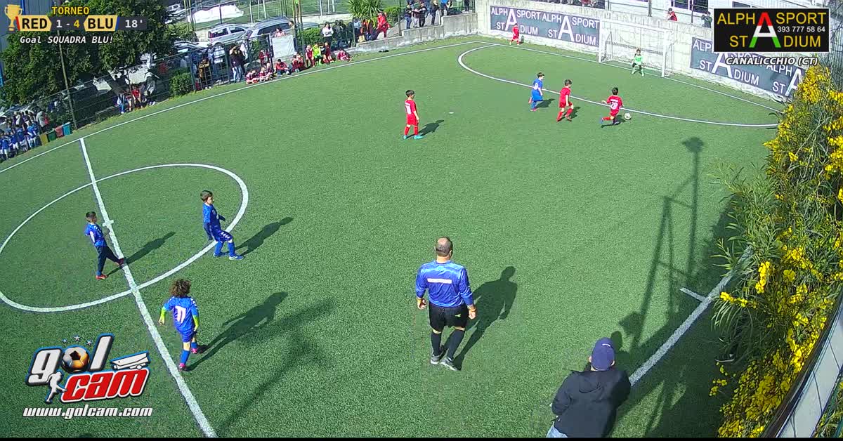 Gol elia