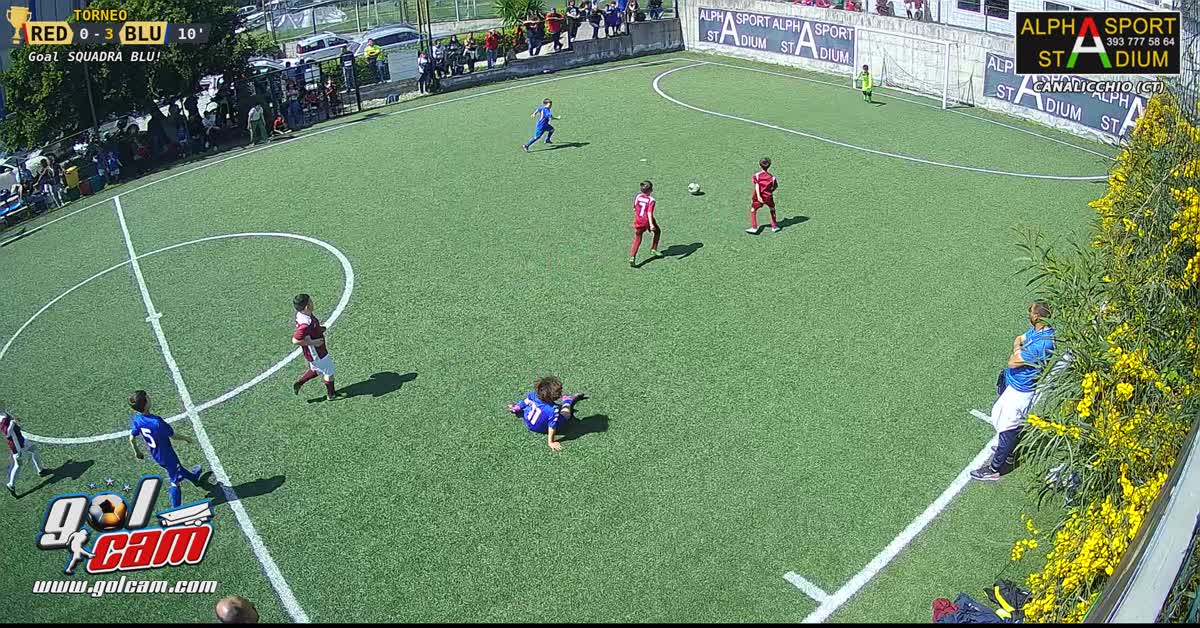 Gol elia