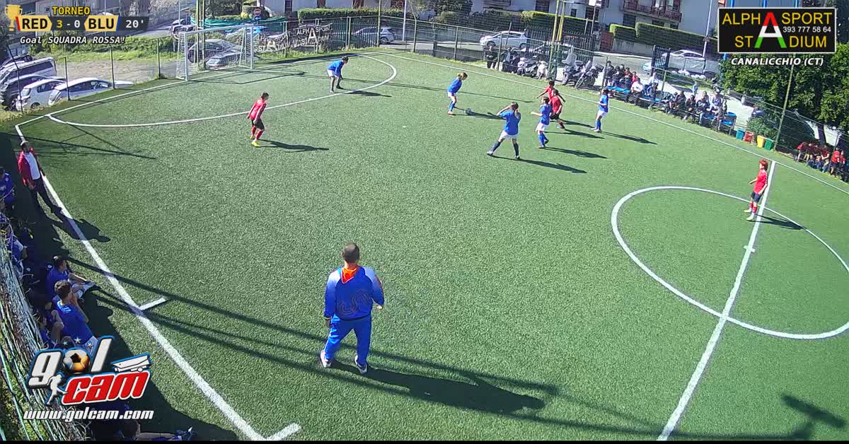 Rayen goal 