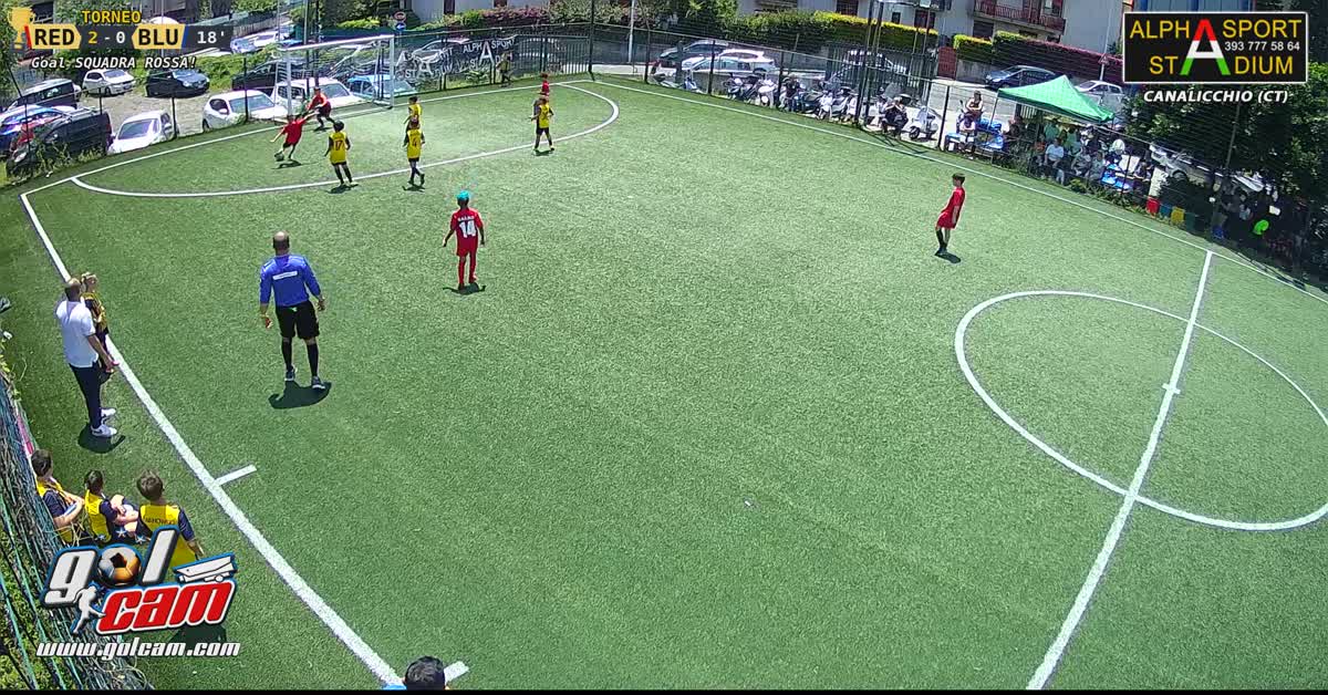 Goal di leo