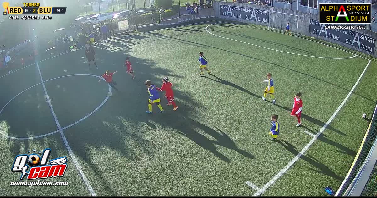 Gol nino