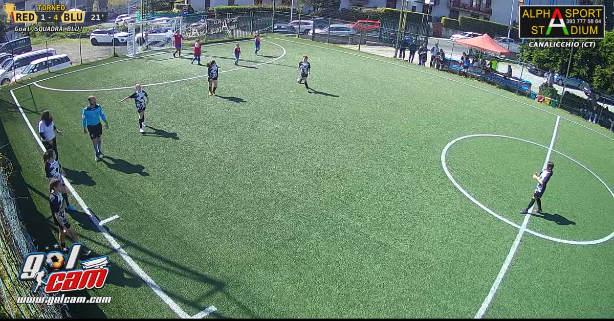 Goal pulcino