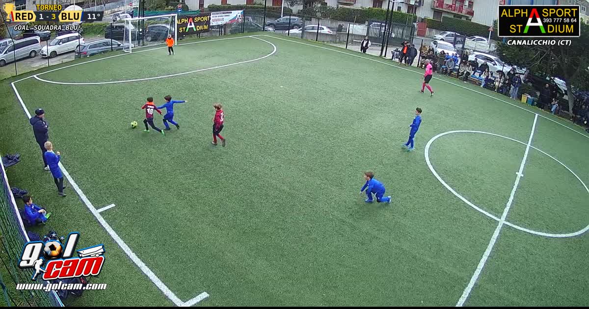 Goal Diego