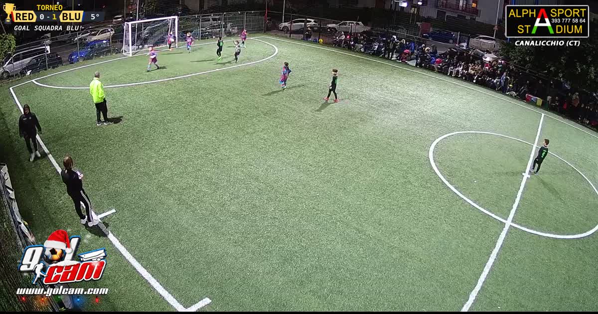 1 gooal manuel
