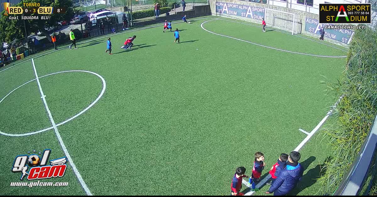 Goal Leo 3