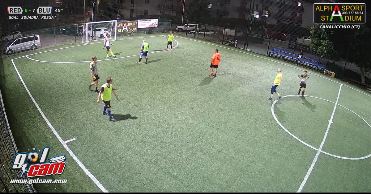 Delfio 11-10