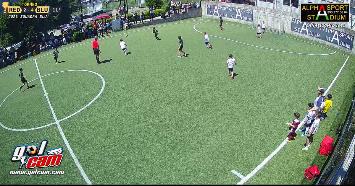 Trinacria ale goal