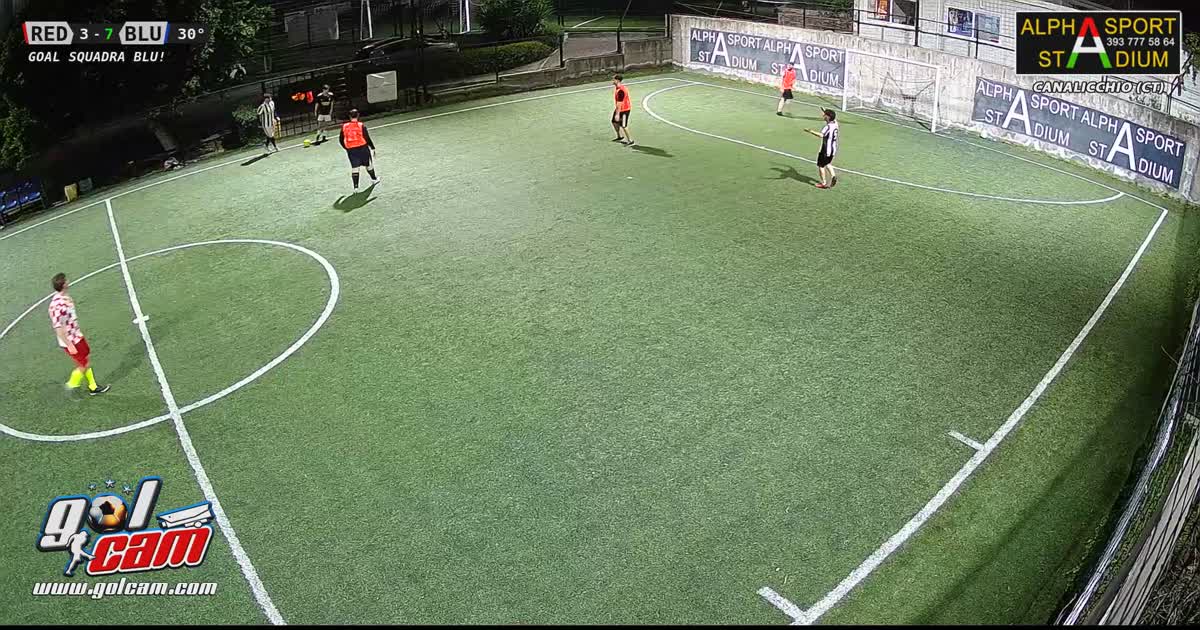 Gol fitusu