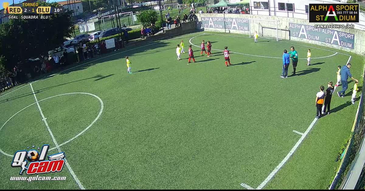 Gol salvo