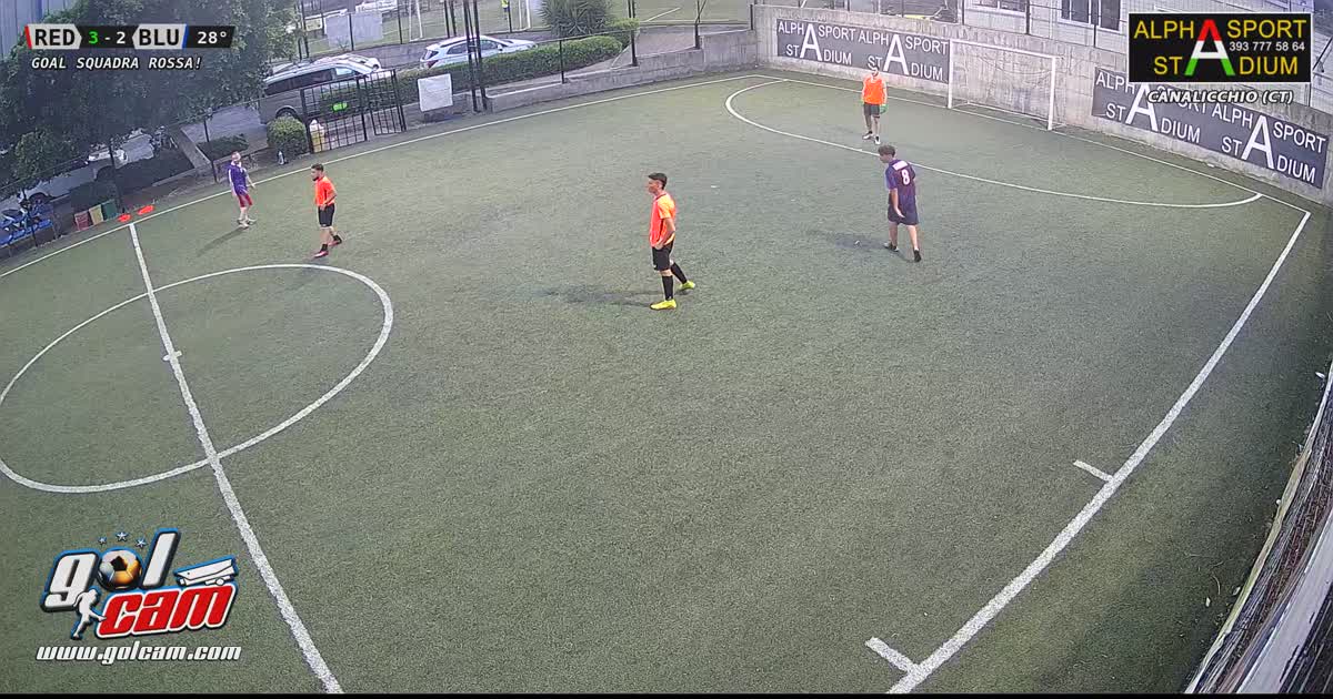 Gol lory