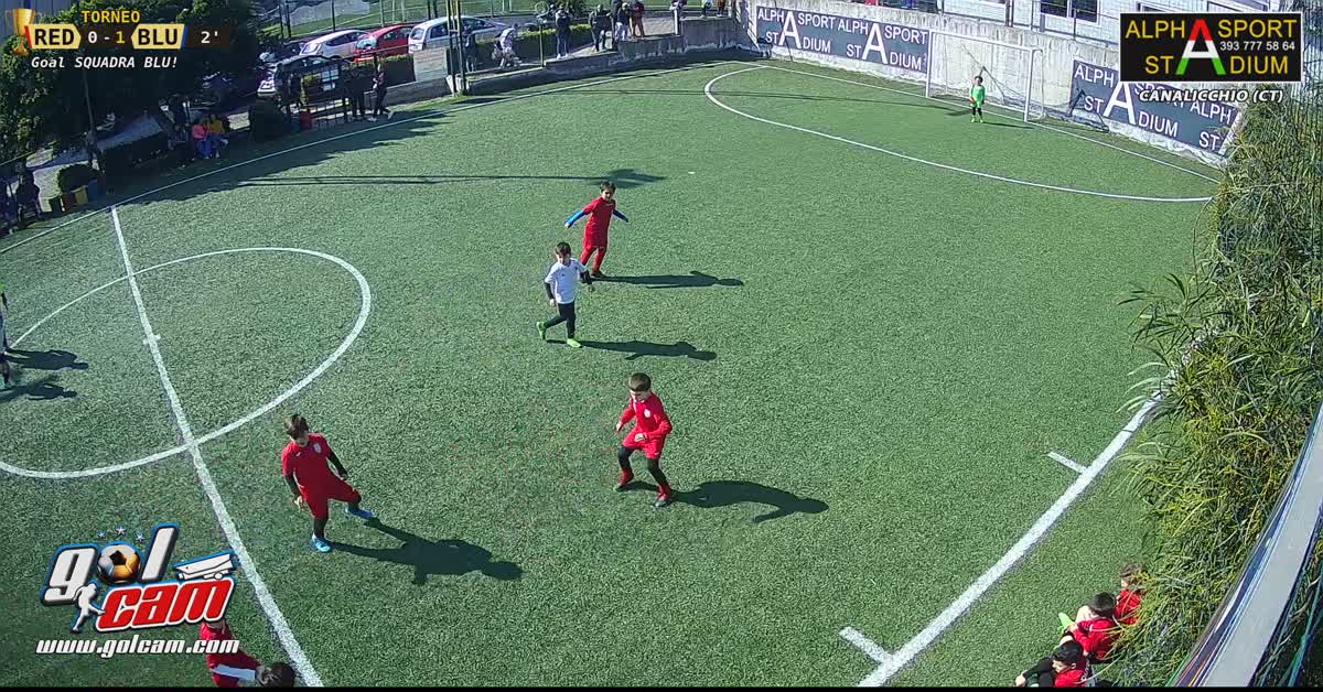 Salvo gol