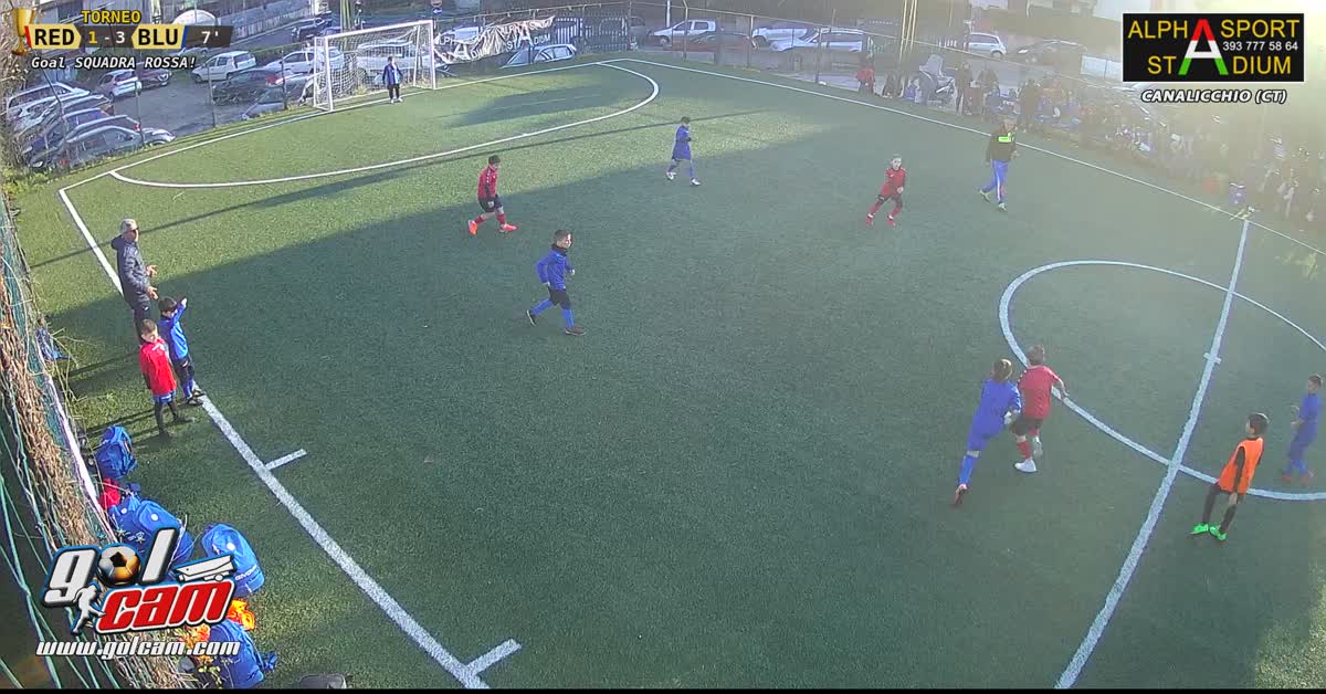 Daniele gooll