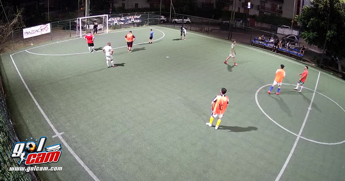 Goal 4