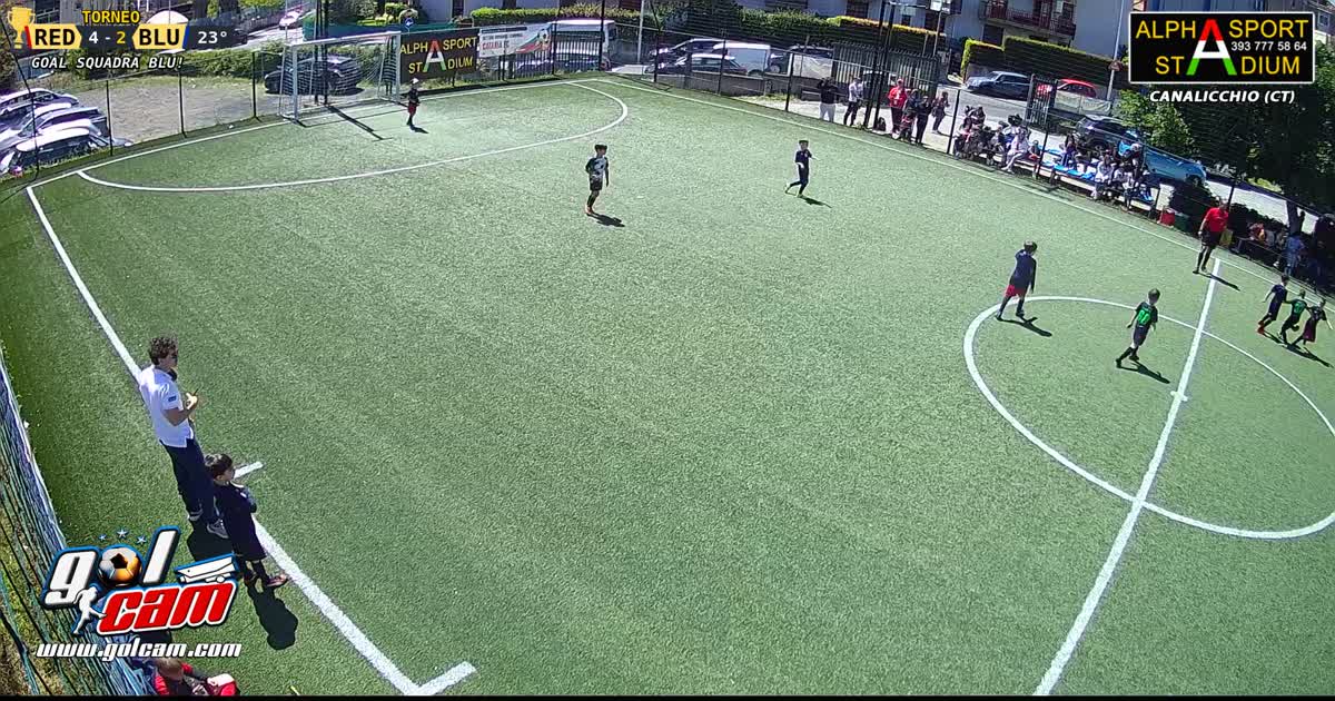 GOAL 2 SARO