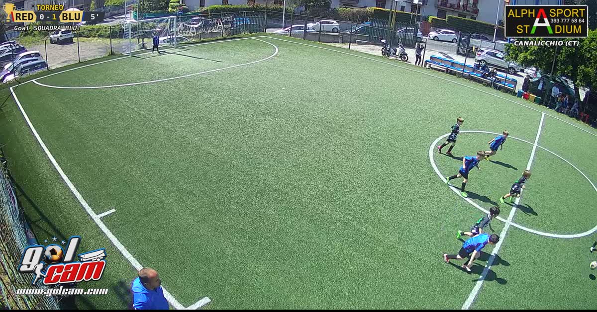 Goal 3 leo