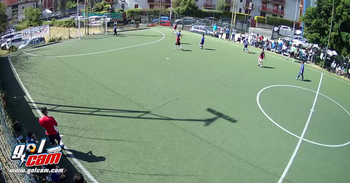 Salvo tiro al volo