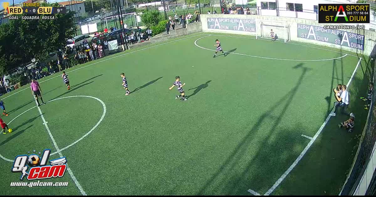 Gol Leo