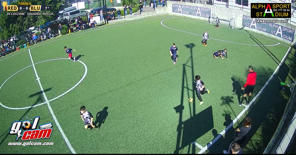 Quasi goal ale 