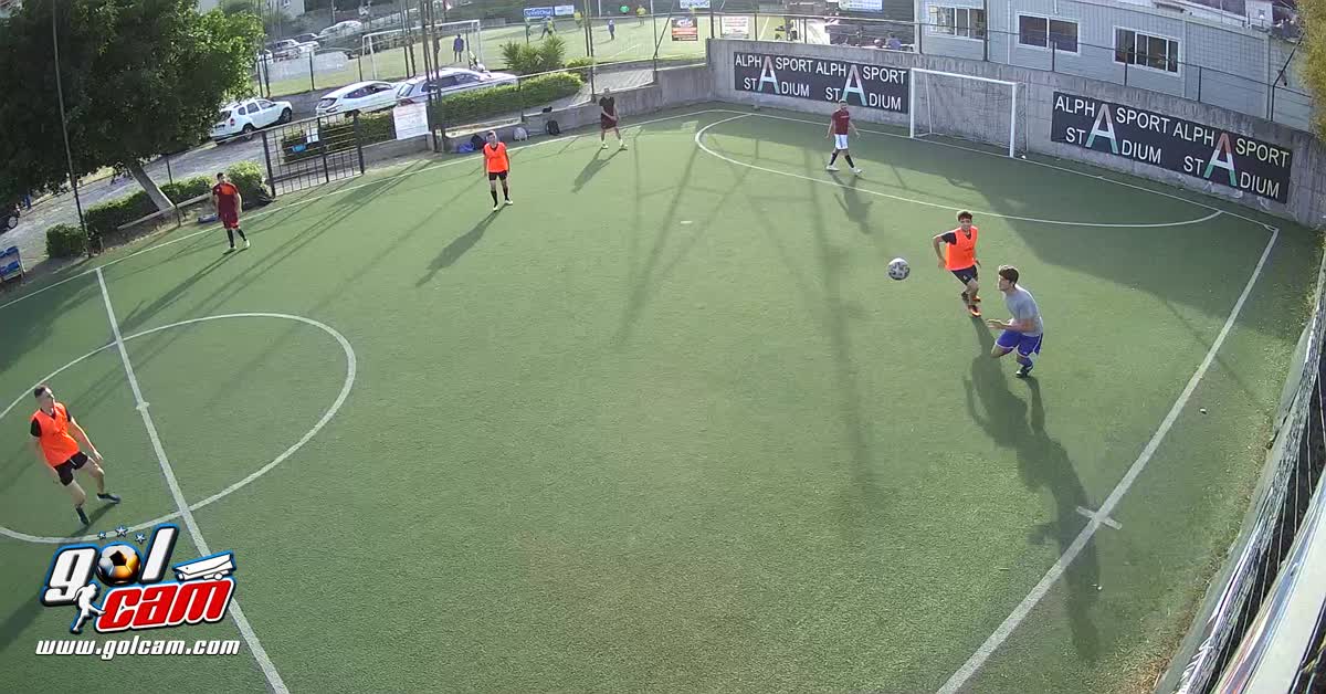 Gol tiro al volo