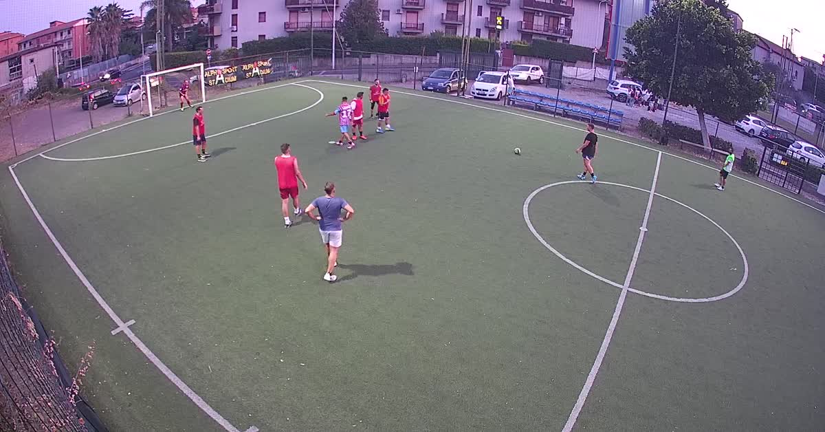 Goal 7