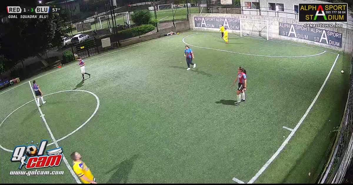 Gol ale