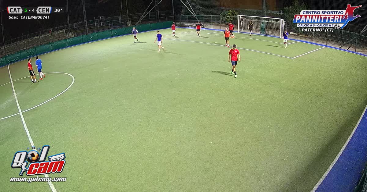 Gol del leone