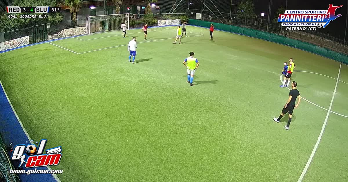 Goal 4