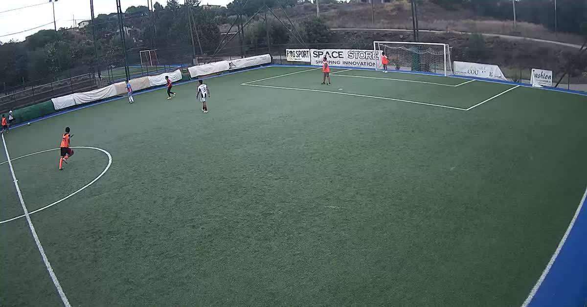 Traversa clamorosa 