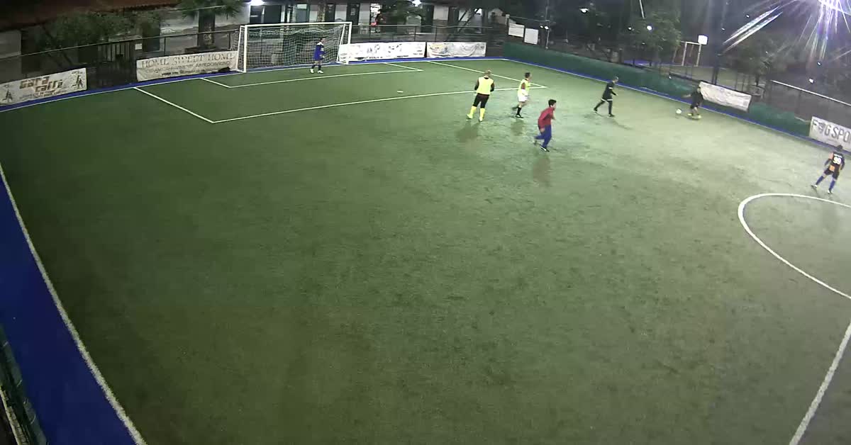 Goal 12