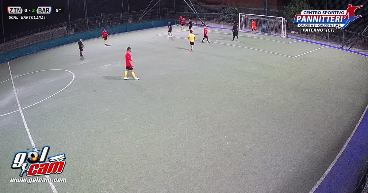 Tiro al volo