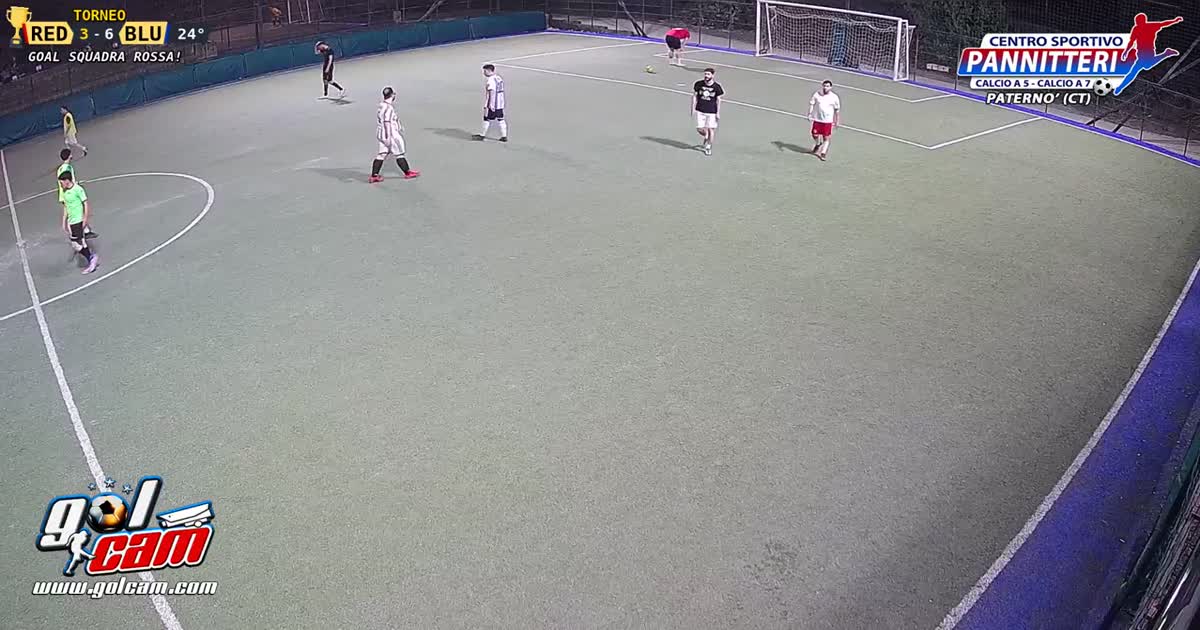 GOAL 11