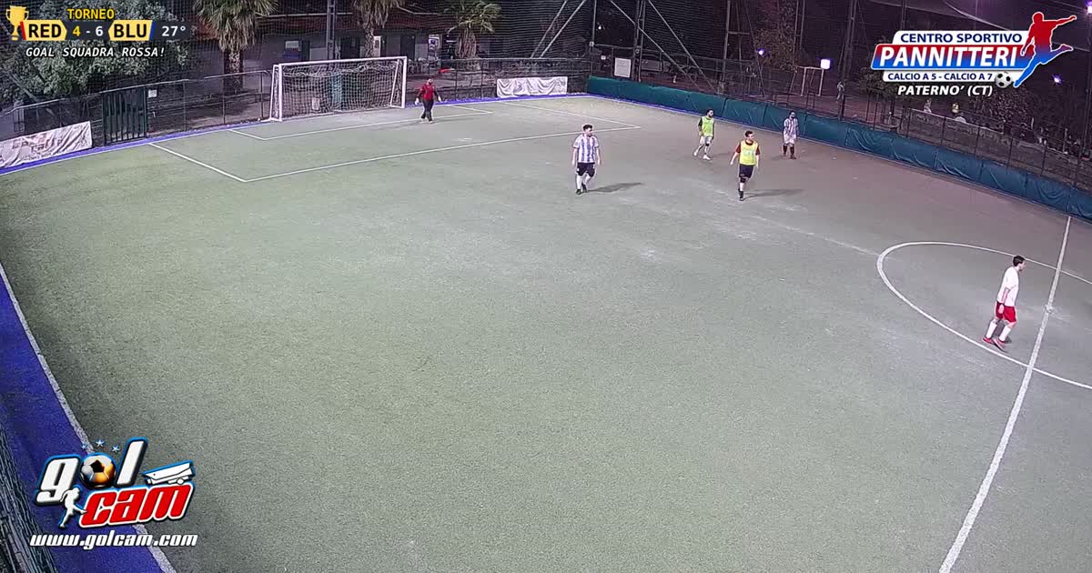 GOAL 12