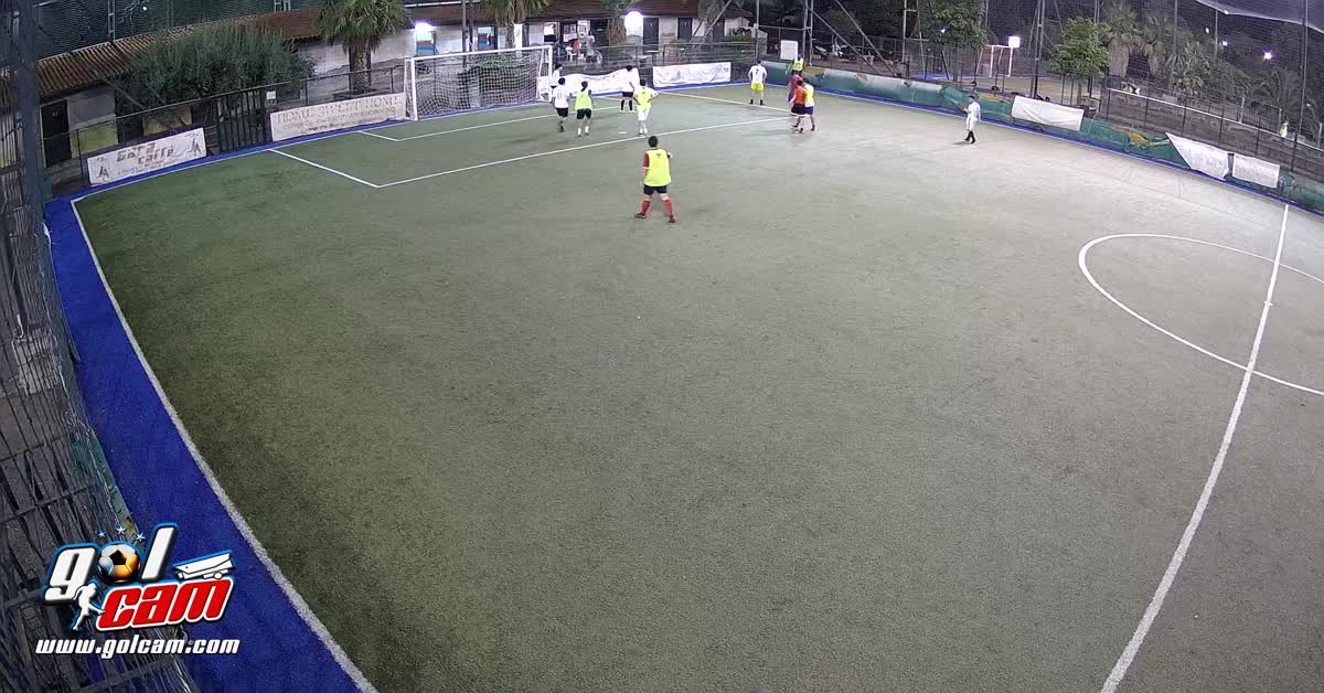 Gol Rino