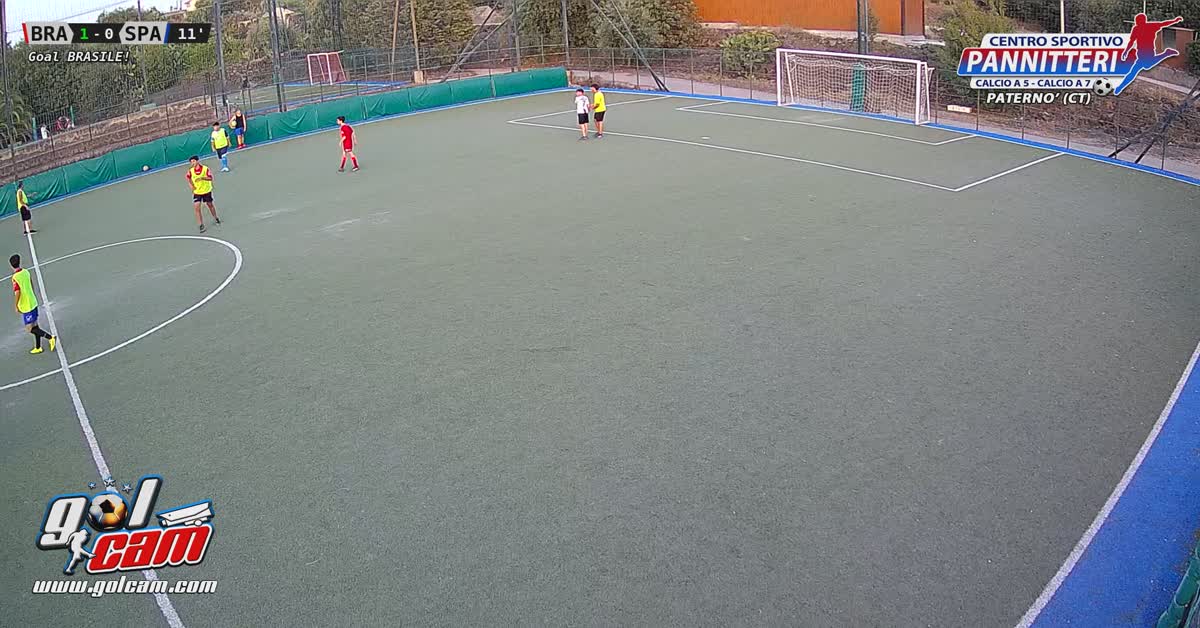 tiro al volo