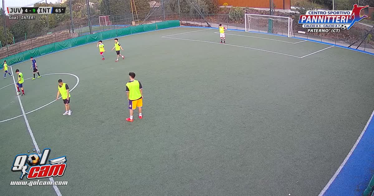 Ho preso palo