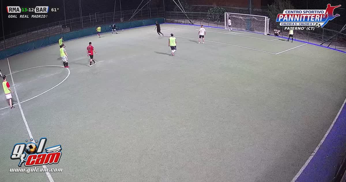 Goal 7