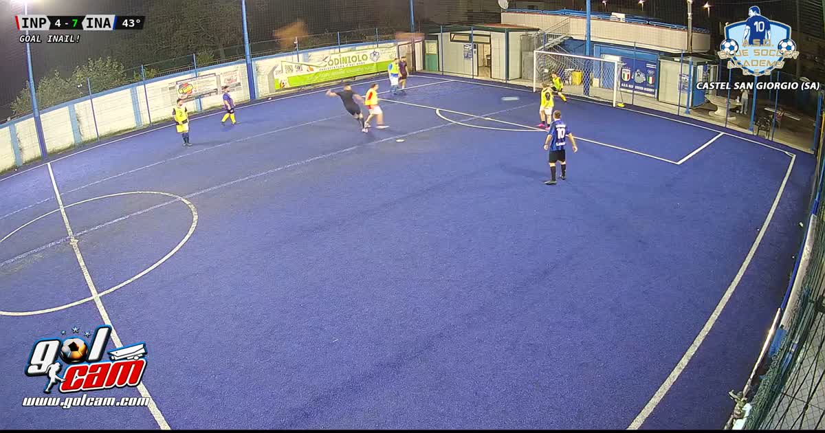 Goal 11
