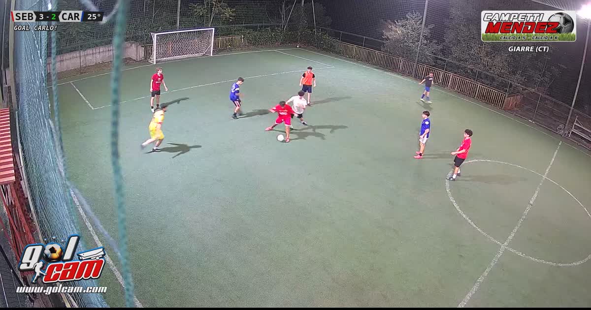Gol stop al volo